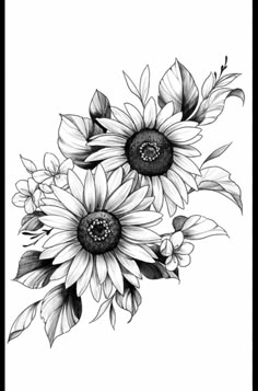 Sunflower Tattoo On Back Shoulder, Inner Forearm Tattoo Design, Sunflower Tattoo On Shoulder, Sunflower Tattoo Black And White, Leg Drawings, Sunflower Tattoo Stencil, Black And White Sunflower Tattoo, Sunflowers Tattoo, Sunflower Tattoo Shoulder