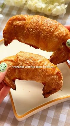 two pieces of fried chicken on a plate