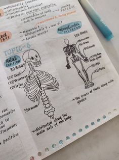 a hand drawn diagram of the human skeleton and its functions on a piece of paper