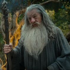 an old man with long grey hair holding a stick