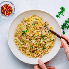 two hands holding a plate of pasta with chicken and parsley on the side, next to a bowl of seasoning