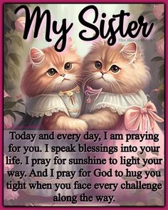 two cats sitting next to each other with the words, my sister today and every day i am praying for you