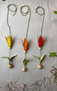 four different types of flowers are arranged on a sheet of paper with string attached to them