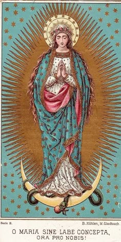 an image of the virgin mary in blue and gold with stars around her, holding a star