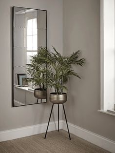 a potted plant sitting on top of a metal stand next to a mirror in a room