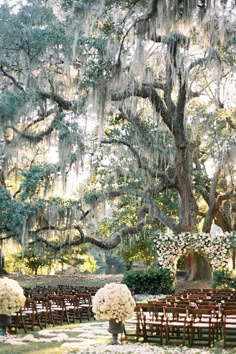 an outdoor ceremony setup with white flowers and greenery on the ground in front of large oak trees