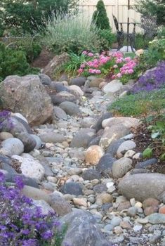 a garden with rocks and flowers in it