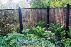 a garden with lots of plants next to a fence