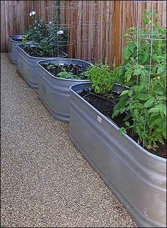 a row of metal planters filled with plants