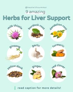 Herbs For Liver, Liver Foods, Liver Fibrosis, Gallbladder Health, Dercums Disease, Cleansing Foods, Liver Tonic, Liver Cleanser