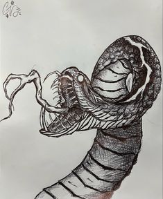 a drawing of a snake with its mouth open