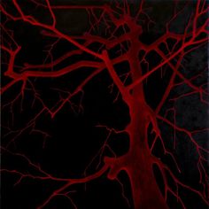 a tree with red branches against a black background