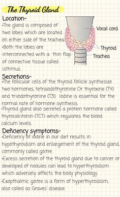 an info sheet describing the different types of throats and their functions in the body