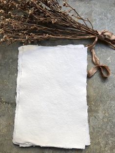 a piece of paper with some brown ribbon on top of it next to dried flowers