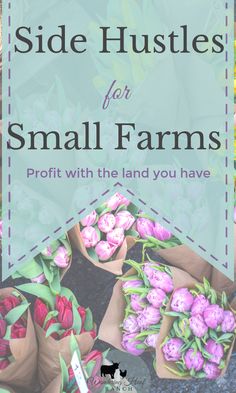 flowers with text overlay saying side hustles for small farms profits with the land you have