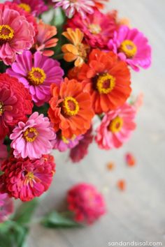 a vase filled with lots of colorful flowers