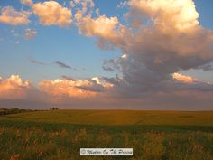 a field with grass and flowers under a cloudy sky in the distance is an open plain