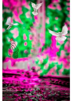 two white birds flying in the air with pink and green background