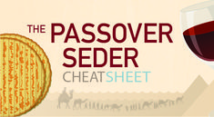 the passover seder cheese sheet is next to a glass of wine and crackers