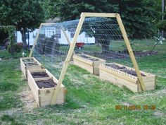 three wooden raised garden beds with plants growing in them on the grass near some trees