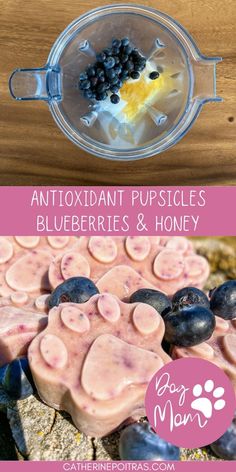 blueberries and honey dog treats with text overlay that says antioxidant puppies, blueberries & honey