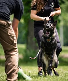 a woman is holding the leash of a dog as it runs through the grass with its mouth open