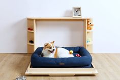 a small dog laying in his bed on the floor