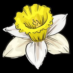 a yellow flower with white petals on a white background, drawn by hand in ink