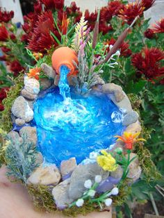 a hand holding a miniature garden pond with rocks and plants