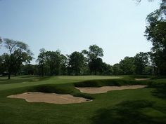 a green golf course with sand bunkers and trees in the background