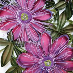 three purple flowers with green leaves on them