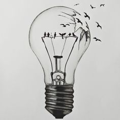 a drawing of a light bulb with birds flying around it