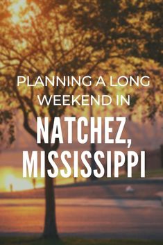 a tree with the words, planning a long weekend in natchez, mississippi