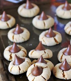 there are many small cookies with chocolate on them in the trays and ready to be eaten