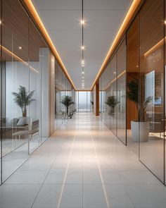 an empty hallway with glass walls and potted plants