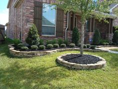 a small tree in the middle of a yard next to a brick building with two windows