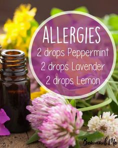 Essential Oils Allergies, Oil Diffuser Recipes, Yl Essential Oils