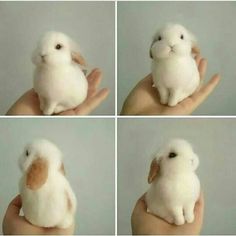 four different pictures of a small white rabbit in the palm of someone's hand