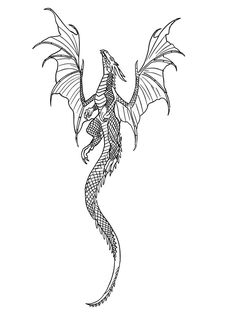 a black and white drawing of a dragon