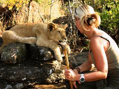 a woman kneeling down next to a lion laying on top of a pile of rocks