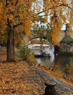 there is a boat that is going down the river by some trees with yellow leaves on it