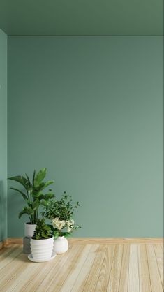 two potted plants sit on the floor in front of an empty room with green walls