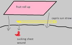 the diagram shows how fruit roll up is made