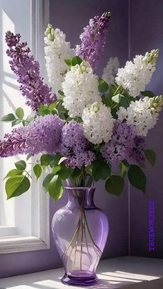 a purple vase filled with white flowers on top of a table next to a window