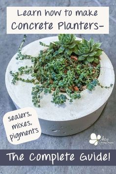 the complete guide to how to make concrete planters - includes instructions and tips for growing succulents