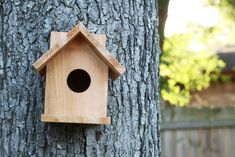 a bird house hanging on the side of a tree