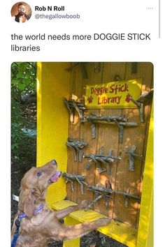 a dog that is playing with some kind of stick in a library book shelf and has it's mouth open