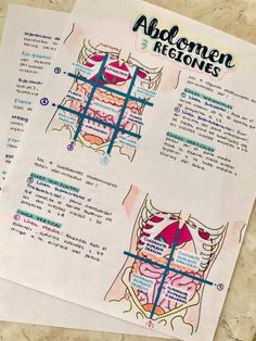 the diagram shows how muscles are attached to each other and what they look like on paper