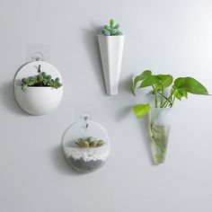 three white vases with plants in them hanging on the wall