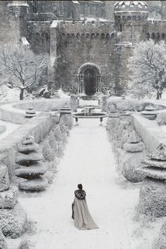 a woman standing in the middle of a snow covered garden